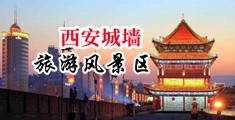 阳具插入警花肥美的阴户中国陕西-西安城墙旅游风景区