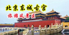 大屌淫妇乱伦中国北京-东城古宫旅游风景区